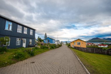 Güneşli bir yaz gününde Kuzey İzlanda 'nın Hrisey adasındaki köy.