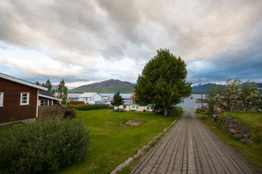 Güneşli bir yaz gününde Kuzey İzlanda 'nın Hrisey adasındaki köy.