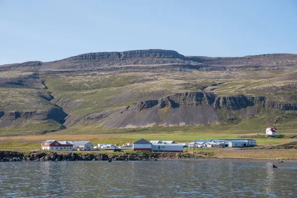 Batı İzlanda, Vatnsfjordur 'daki Brjanslaekur sahili.
