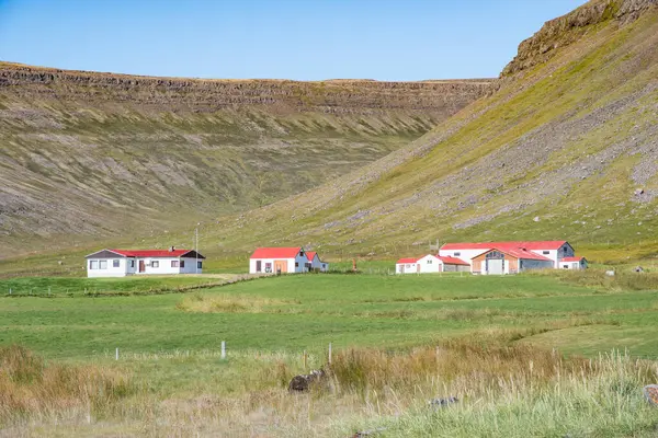 Batı İzlanda 'daki Bardastrond' un güzel manzarasında bir çiftlik.