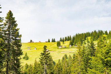 Kosova kırsalındaki Rugova kanyonunun güzel doğası