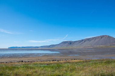 İzlanda 'nın batı kıyılarındaki Raudisandur' un güzel kıyı şeridi.