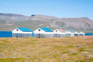 İzlanda 'nın batı fiyortlarında Thingeyri kasabası yakınlarında balık kurutma kulübesi.