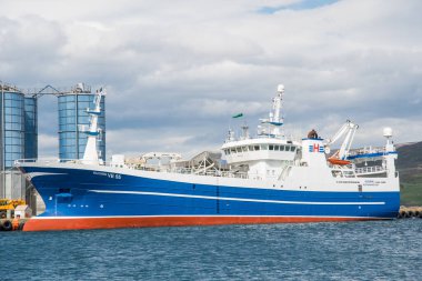 Akureyri İzlanda, 9 Haziran. 2023: Çanta falcısı Huginn, Akureyri limanında.