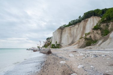 Danimarka 'daki Mons Klint uçurumlarının güzel doğası