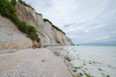 Danimarka 'daki Mons Klint uçurumlarının güzel doğası