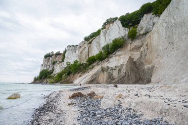 Danimarka 'daki Mons Klint uçurumlarının güzel doğası
