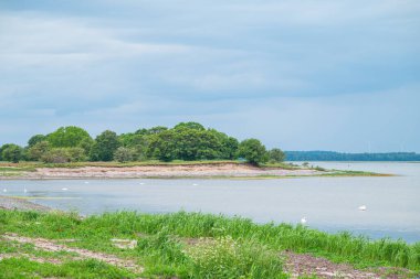 Danimarka 'da Jungshoved' in güzel yaz manzarası