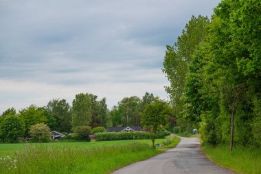 Danimarka 'da Jungshoved' in güzel yaz manzarası