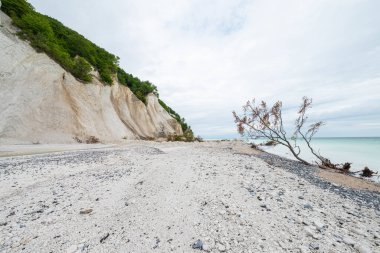 Danimarka 'daki Mons Klint uçurumlarının güzel doğası