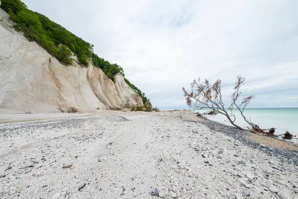 Danimarka 'daki Mons Klint uçurumlarının güzel doğası