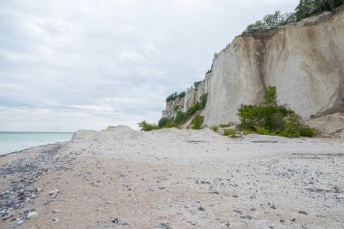 Danimarka 'daki Mons Klint uçurumlarının güzel doğası
