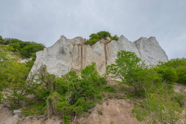 Danimarka 'daki Mons Klint uçurumlarının güzel doğası
