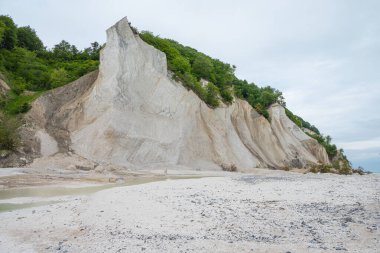 Danimarka 'daki Mons Klint uçurumlarının güzel doğası