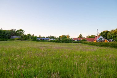 Danimarka 'nın Vordingborg yakınlarındaki Bakkebolle Strand tatil beldesinde tatil evleri