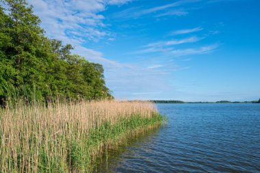 Güneşli bir yaz gününde Danimarka 'da Maribo gölünün güzel doğası
