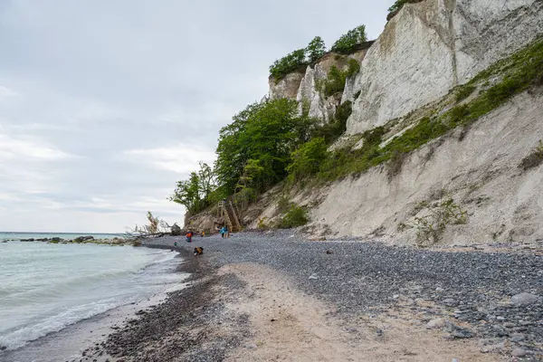 Sevgili Danimarka - 29 Mayıs. 2024: Mons Klint 'in doğasından keyif alan turistler