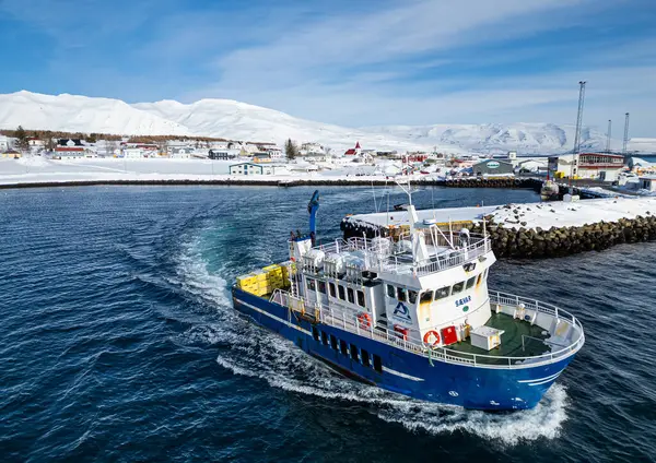 Hrisey, İzlanda - 6 Haziran. 2024: Eyjafjordur 'da SH vega ve SH Diana yolcu gemileri