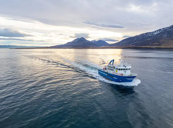 Hrisey İzlanda - 3 Kasım. 2024: Feribot Saevar, Eyjafjordur 'u görür görmez denize açıldı