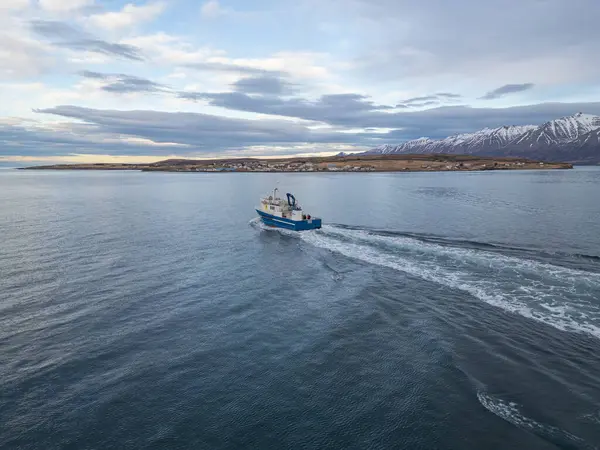 Hrisey İzlanda - 3 Kasım. 2024: Feribot Saevar, Eyjafjordur 'u görür görmez denize açıldı