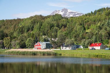 Güneşli bir yaz gününde Kuzey İzlanda 'daki Akureyri kasabası manzarası