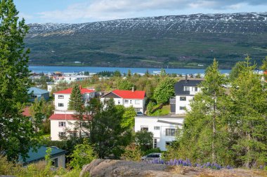 Kuzey İzlanda 'daki Akureyri kasabasındaki binalar