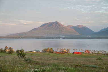 Kuzey İzlanda 'daki Hrisey adasının güzel manzarası