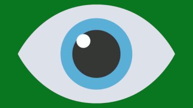 Güney Kore bayrağı.