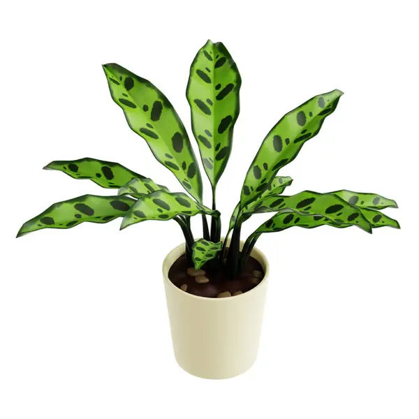 Tencerede yeşil bitki