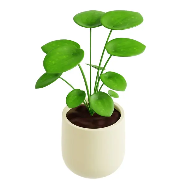 Beyaz arkaplanda izole yeşil bitki