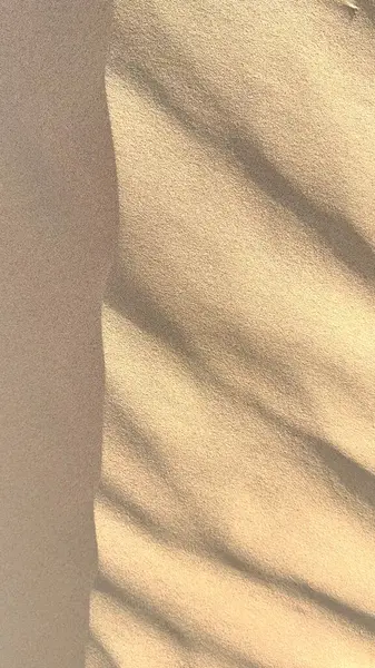 stock image As sun sets, one side of massive dune glows in warm light while shadow deepens on opposite side. Gentle slopes and textured sand create an impressive display of natural beauty in desert landscape.