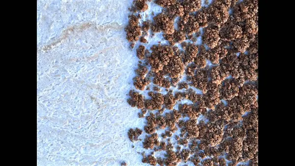 Stock image Sand blending with salt deposits on desert lake, intricate natural textures showcasing contrast between rough sand and smooth salt layers, highlighting desert landscape beauty.