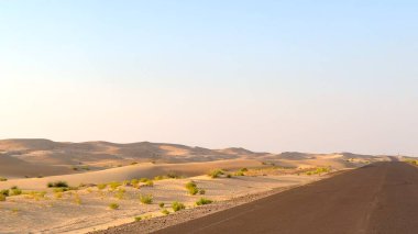 Evening falls, desert road stretches between golden dunes and sparse bushes. Tranquil twilight transforms landscape, bathing sand in warm hues, offering peaceful journey through quiet, open desert. clipart