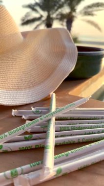  Sustainable accessories at beach and pool encourage eco-friendly habits. Ideal for eco-conscious relaxation and cleaner environment Promoting environmental responsibilitywith compostable straws.