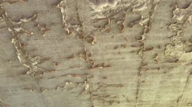 Beton yüzey, bej rengi kabuk soyma, uzun süreli yıpranma izleri, çatlaklar ve aşınmış bölgeler gösteriyor. Palmiye yaprakları çürüyen tavana doğal zıtlık ekler, ihmal ve çürümeyi yansıtır..