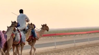 Beyaz cüppeli deve binicisi kırmızı pist bariyeri boyunca desenli battaniyelere sarılı develere önderlik ediyor. Yumuşak bej rengi gökyüzü develerin üzerine sıcak bir ışık saçıyor ve arkasında yeşil bir çöl var..
