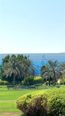  Abu Dhabi, UAE - September 17, 2024 :Palm trees, manicured greenery complement urban infrastructure in park, with mural of marine life in background, offering mix of nature and artistic elements. clipart