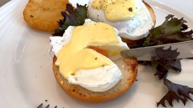 Benedict yumurtaları ve taze yeşilliklerle besleyici kahvaltınızın tadını çıkarın. Sağlıklı, çevreci ve yerel kaynaklı öğünler kullanılarak hazırlanmıştır. Sabah yemeği hem sağlıklı hem de çevreyi destekler..