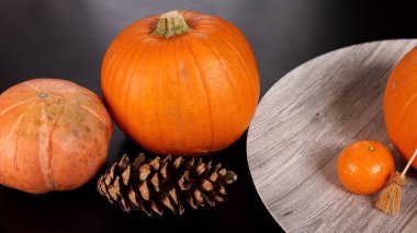 Süpürgeli, portakallı, kozalaklı balkabakları cadılar bayramının cazibesini içeride uyandırır. Canlı sonbahar elementleri sıcak kırsal ortam yaratıyor, mevsimsel dekorları kucaklıyor, samimi festival toplantıları için ideal..