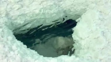 Tuz yüzeyi altındaki karanlık, sakin suyu ortaya çıkarmak için açılır. Yansıtıcı dalgalanmalar, sert durgunluğa zıt düşer. Tuz dokularının altındaki dingin ve dokunulmamış derinliklere bir göz atar. 