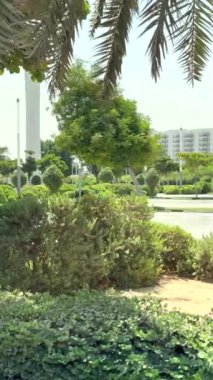 Arabasız açık otopark, yeşil ağaçlar ve çalılar sakin bir sahne oluşturur.
