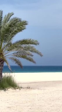  Çerçevelenmiş güzel bir sahil manzarası, bereketli palmiye yaprakları, altın kum ve turkuaz deniz. Tropikal kaçış ve doğal rahatlama için mükemmel. Palmiye yaprakları ve denizle çarpıcı plaj sahnesi.