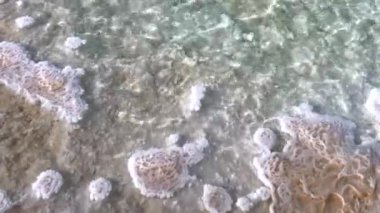 Kıyı aşınması ve tuz birikintileri birleşerek sürekli değişen manzaralar oluşturur. Doğa, elementlerin hassas dengesi üzerinden araziyi şekillendirir, çarpıcı görsellerle eşsiz kıyı ortamları oluşturur..