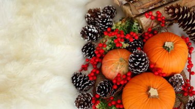 Thanksgiving pumpkins rest beside pinecones, red berries scattered on white rug, cozy atmosphere builds with firewood stacked for warmth, autumn glows in festive decor, cozy Thanksgiving concept. clipart