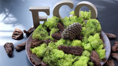  Eco letters standing among vibrant green moss, pine cone resting beside, rustic wood scattered around, natural arrangement evokes sustainability. Symbol of eco awareness, green harmony concept. clipart