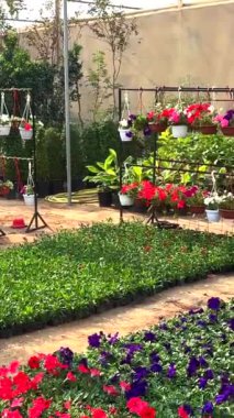 Bitki pazarı, bahçe çözümleriyle kentsel alanları canlandırıyor, esnek bitkiler sunuyor ve bahçeye odaklı her pazar aracılığıyla yeşilliği destekliyor, manzaraları, estetiği geliştiriyor.