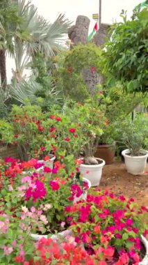 Ender bulunan yeşillikleri, canlı çiçekleri ve ağaçları destekleyen pazar, kentsel alanları yeniden tanımlayan dekoratif bitkiler, sürdürülebilir ağaçlarla yaşamak için ekolojik bilinçli bahçıvanlık eğilimleri.