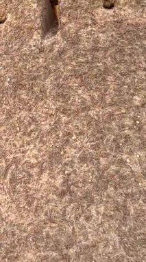 Dikey ekran:: Çöl kalesinin yeniden inşası kültürel mirası, kale geleneklerini ve çöl sanatını somutlaştırır. Çöl mirası restorasyonu, kültürel simgeler..