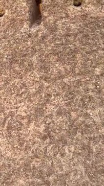 Dikey ekran:: Çöl kalesinin yeniden inşası kültürel mirası, kale geleneklerini ve çöl sanatını somutlaştırır. Çöl mirası restorasyonu, kültürel simgeler..