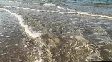 Doğa, tropikal sular ve plaj uyumu dingin ortamları yansıtır, dalgalanan tropikal sular barışçıl sahil sahillerini güçlendirir ve doğal kaçışlar yaratır. Tropik uyum kavramı, saf güzellik.